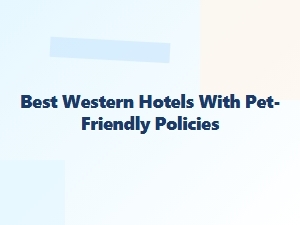 Best Western Hotels That Welcome Pets