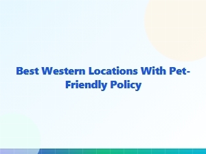 Best Western Hotels That Welcome Pets